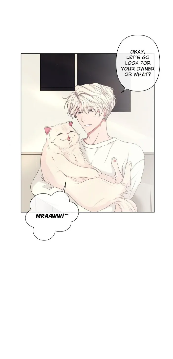 What You Wish For Chapter 3 page 41 - 