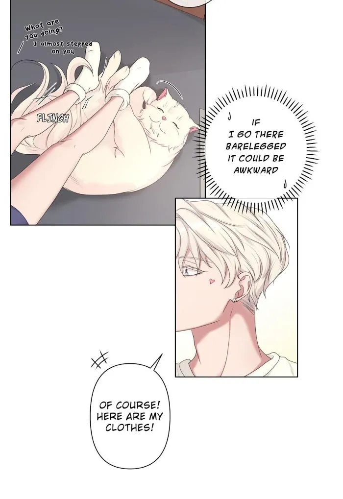 What You Wish For Chapter 3 page 46 - 