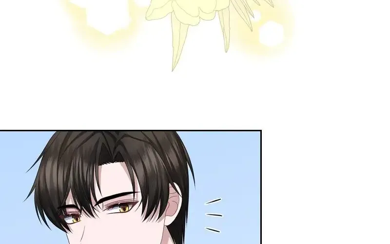 When Cinderella