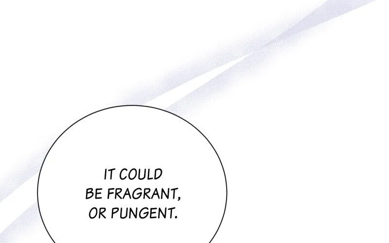 When Cinderella