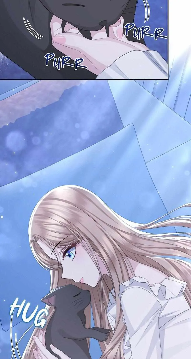When Cinderella
