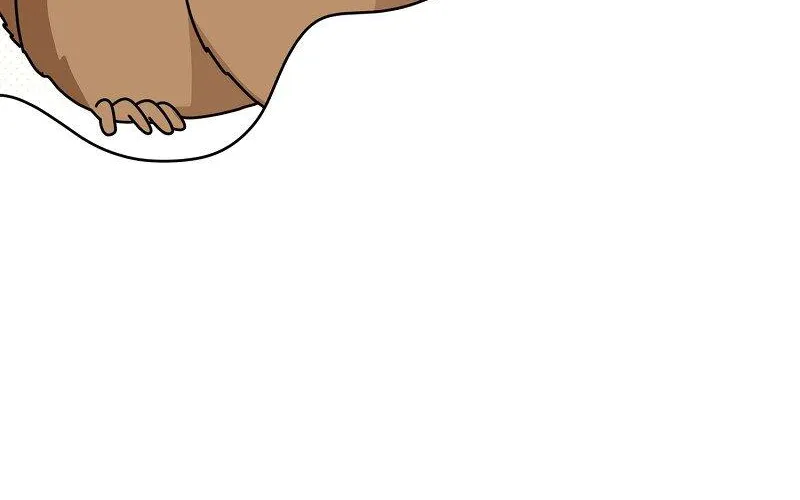 When Cinderella