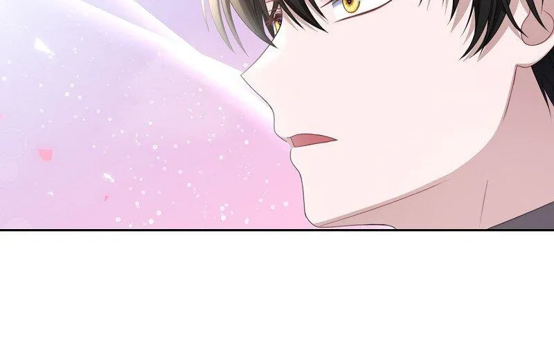 When Cinderella