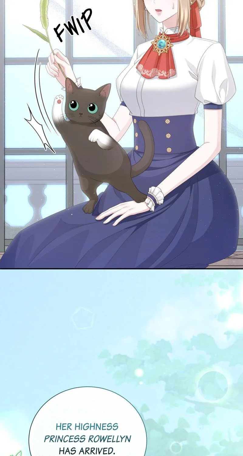 When Cinderella