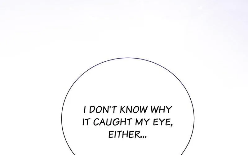 When Cinderella