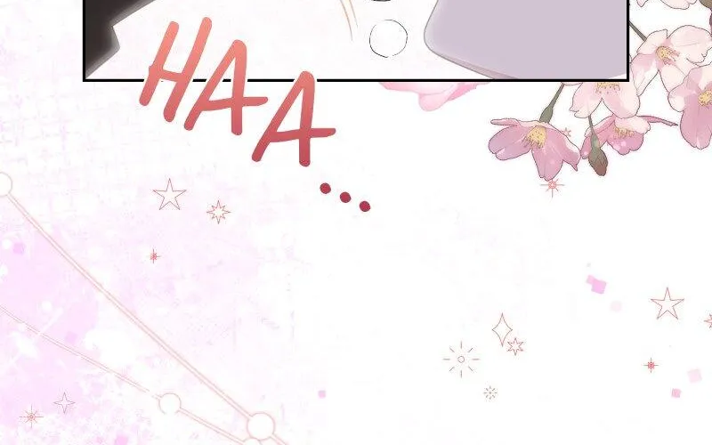 When Cinderella