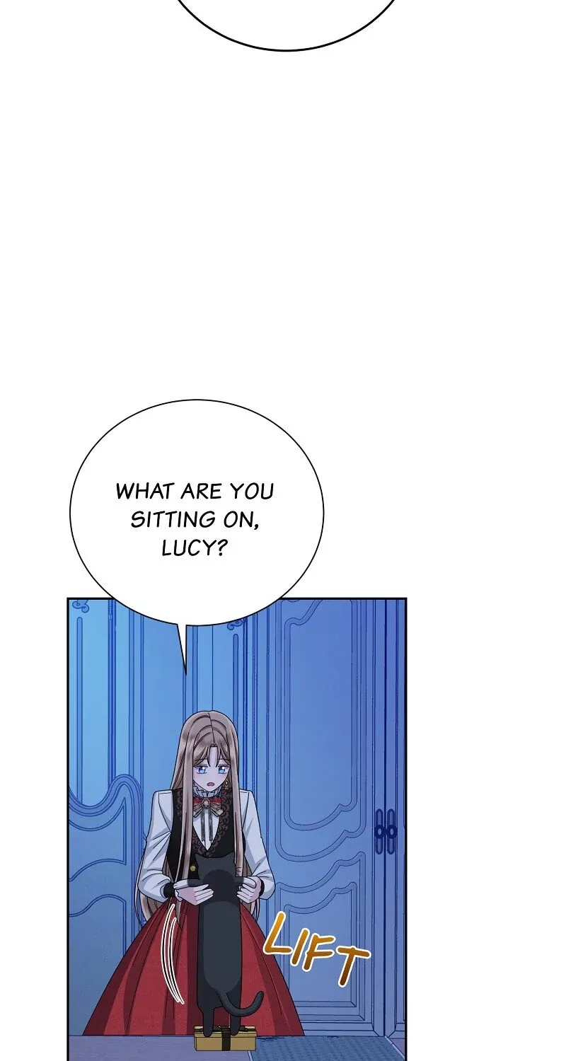 When Cinderella