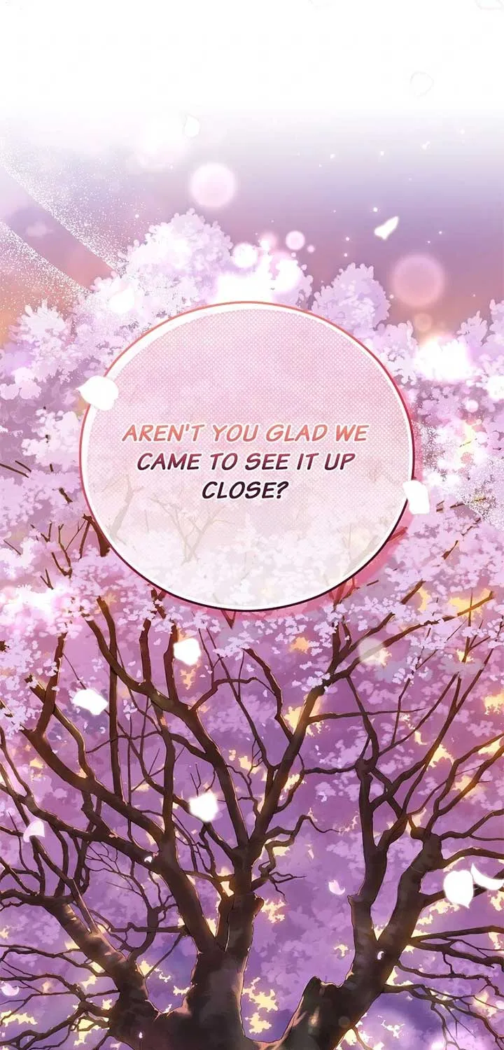 When Cinderella