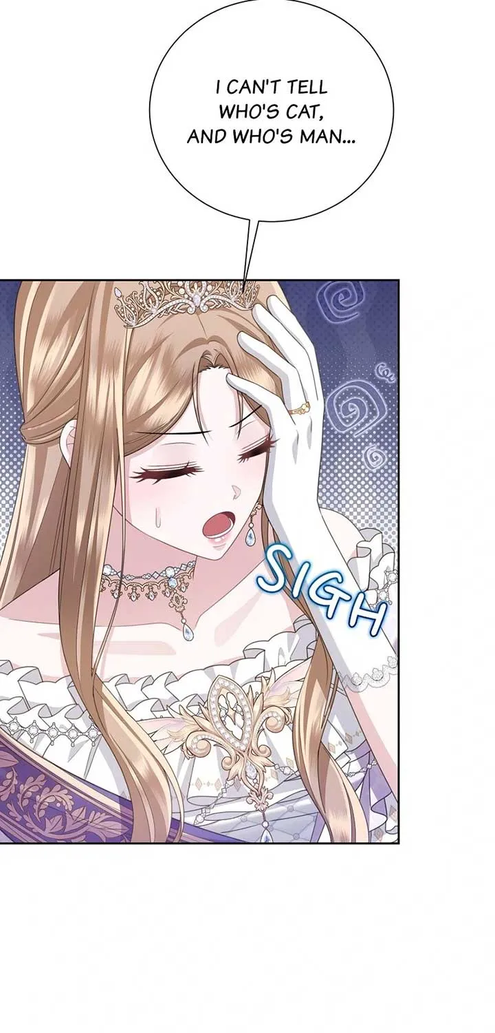 When Cinderella