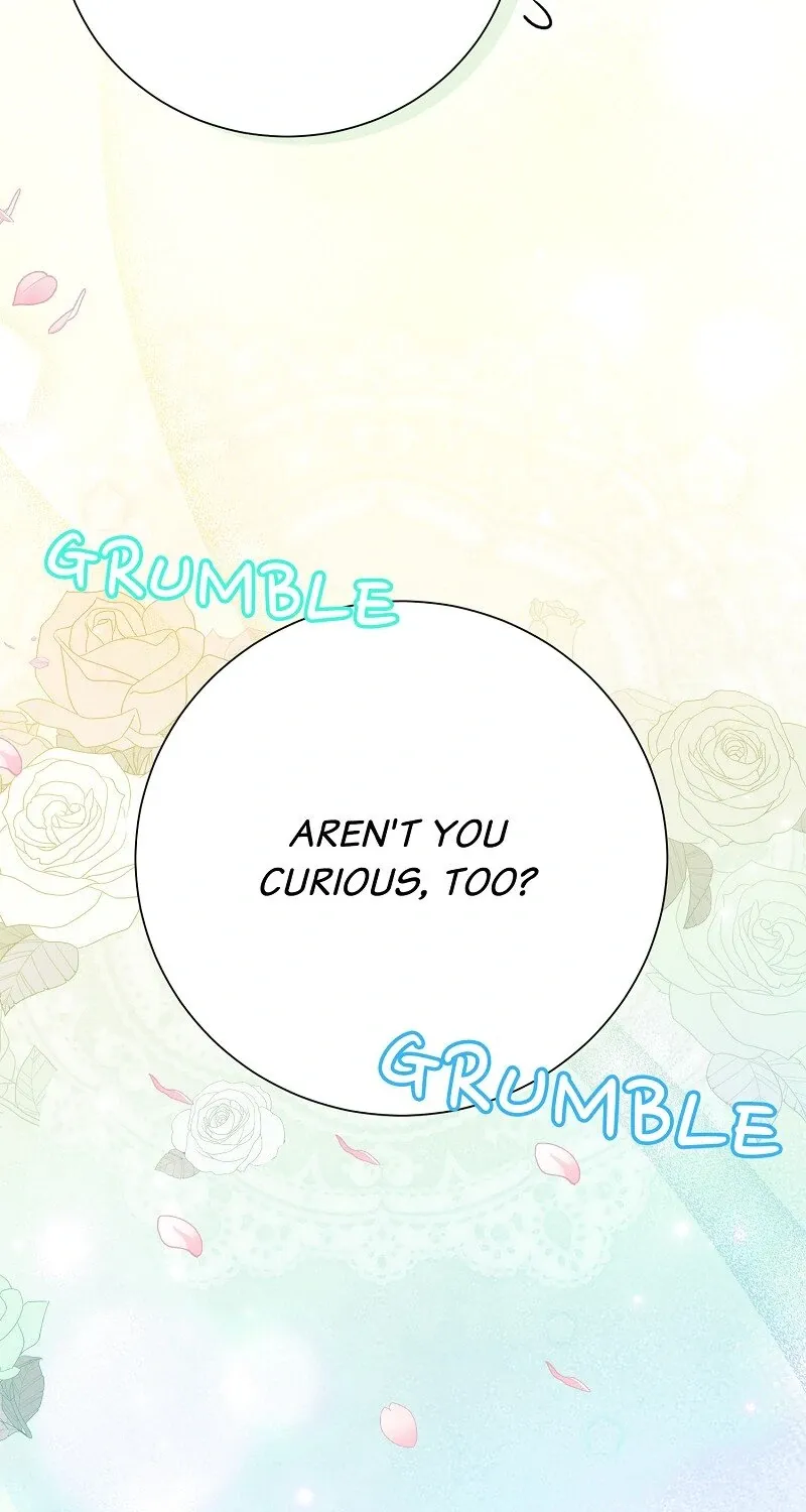 When Cinderella