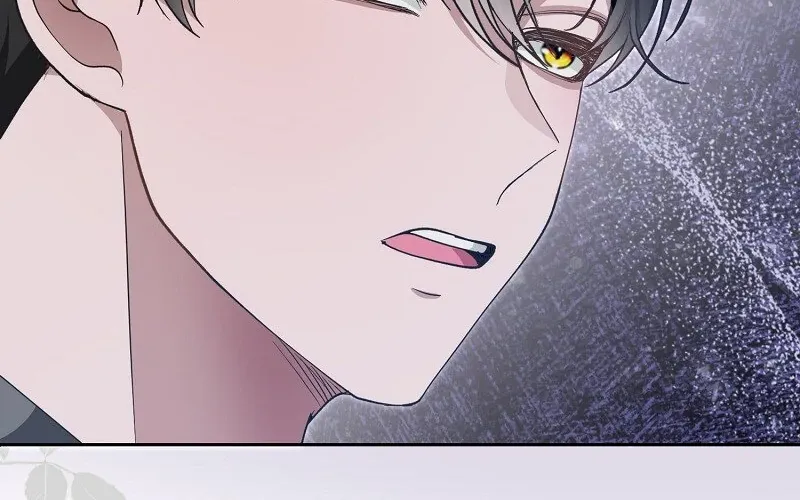 When Cinderella