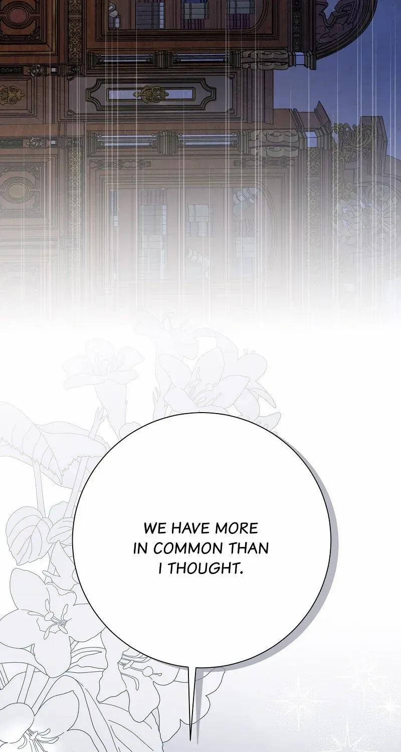 When Cinderella