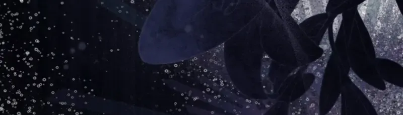 When Cinderella
