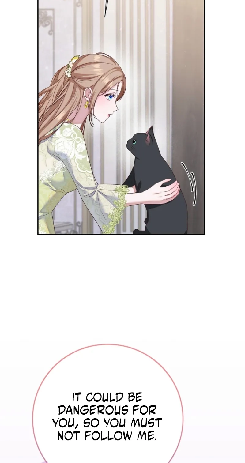 When Cinderella