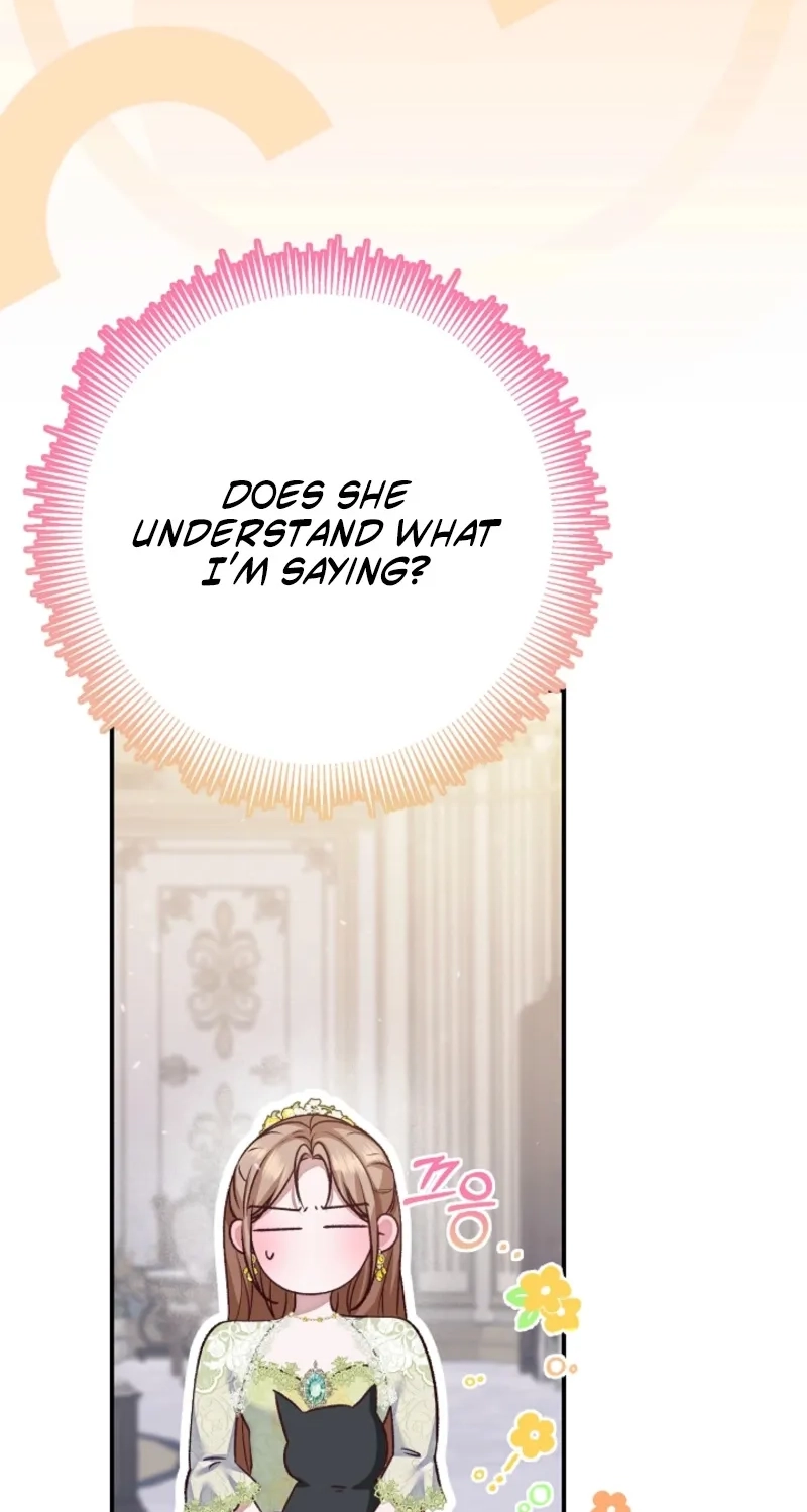 When Cinderella