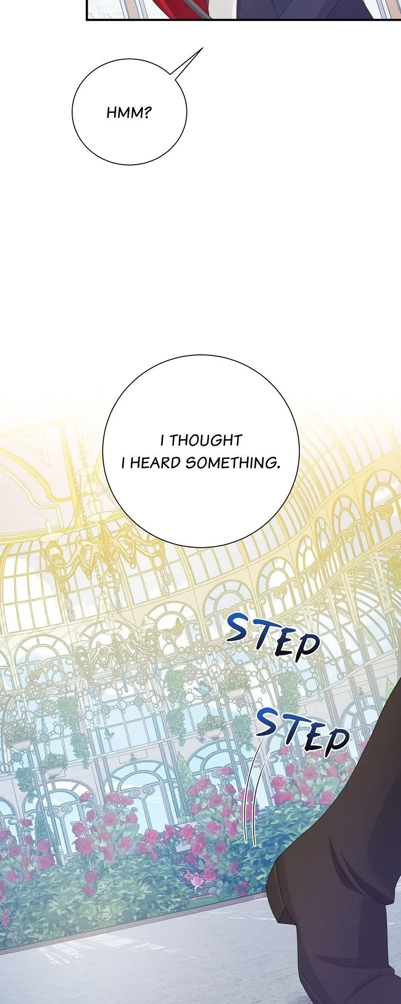 When Cinderella