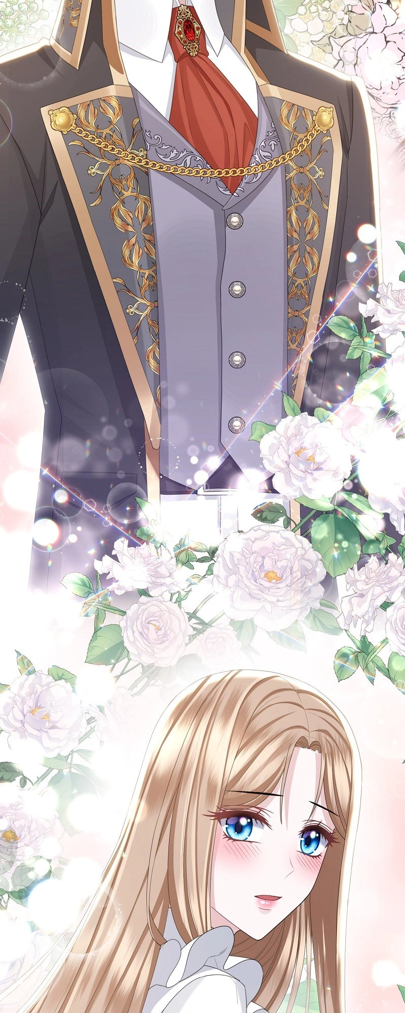 When Cinderella