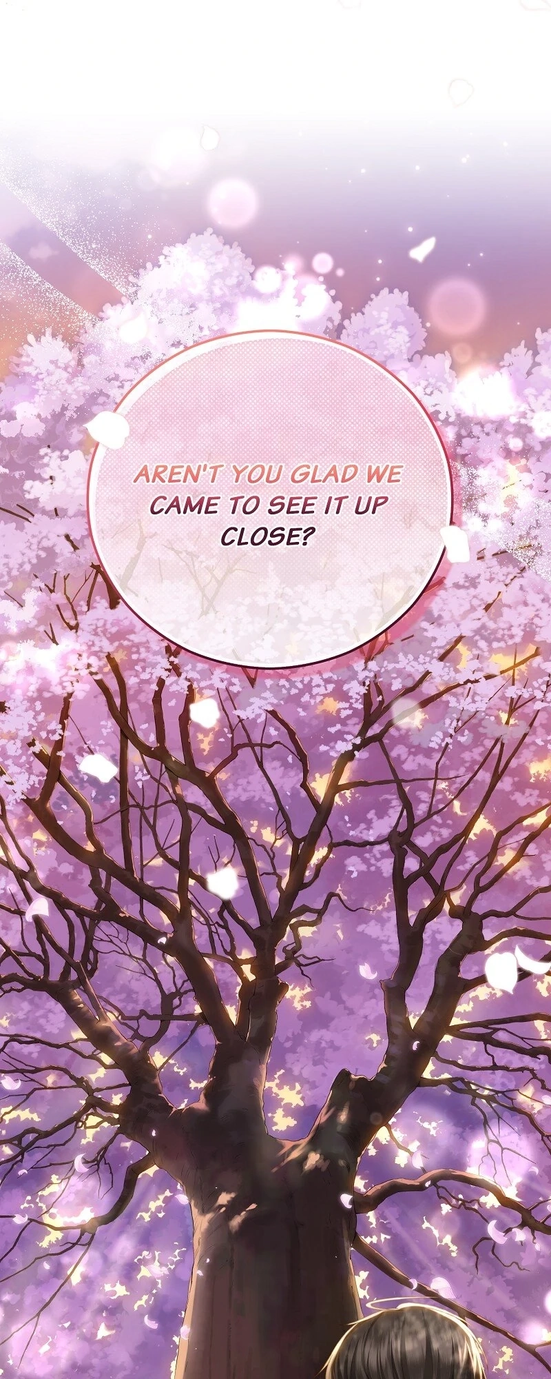 When Cinderella