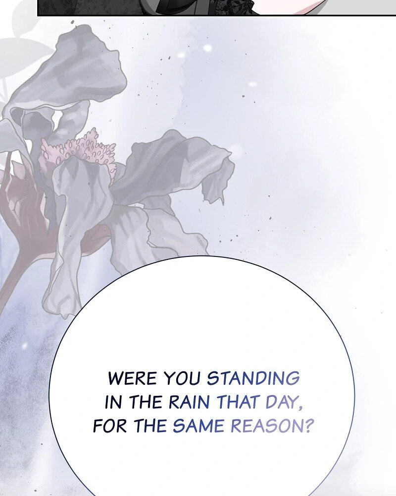 When Cinderella