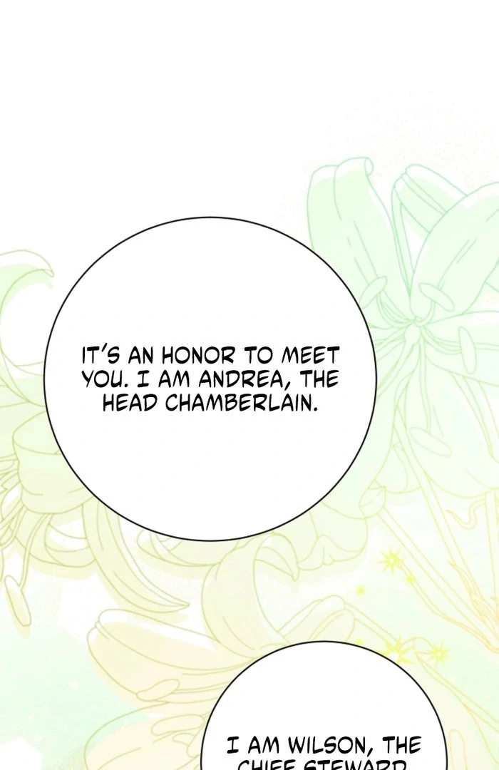 When Cinderella