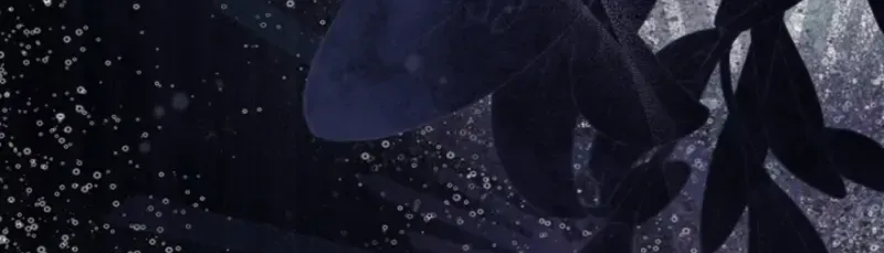 When Cinderella