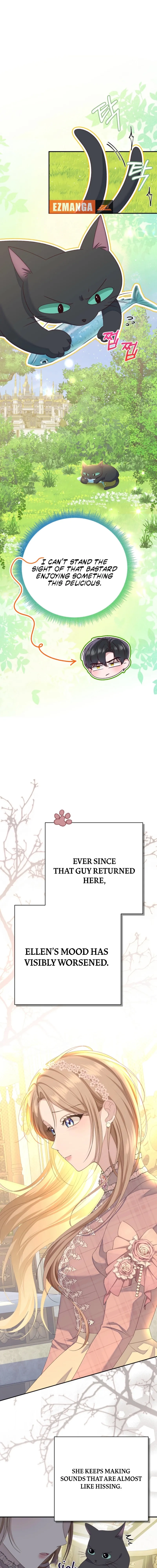 When Cinderella