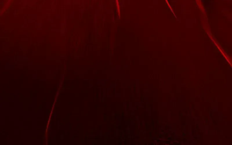 When I Reincarnated, I Stood at the Top with Supernatural Cheats. Chapter 36 page 63 - 