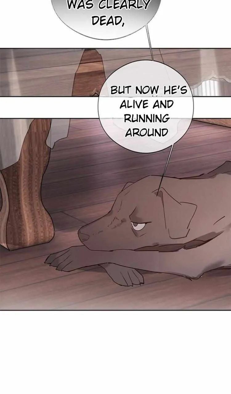When I see snow Chapter 3 page 28 - 