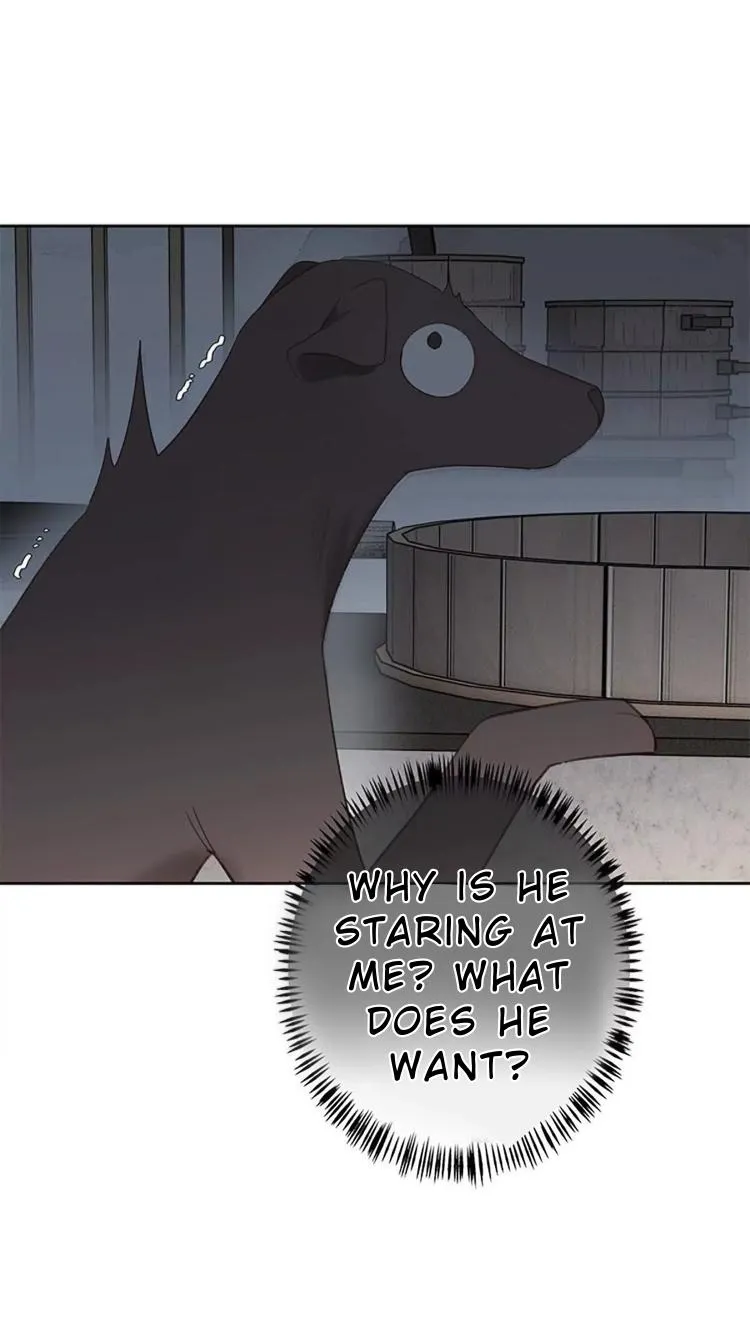 When I see snow Chapter 4 page 11 - 