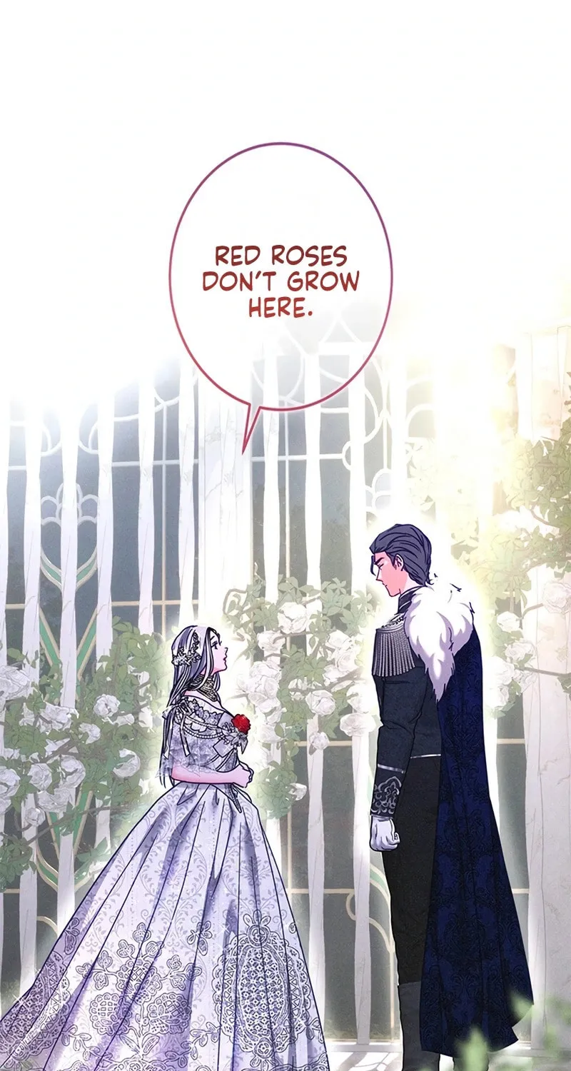 When It Turns Red Chapter 2 page 91 - 