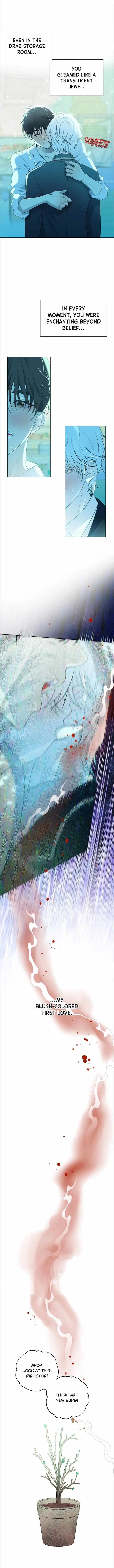 When Life Gives You Tomatoes Chapter 1 page 2 - 