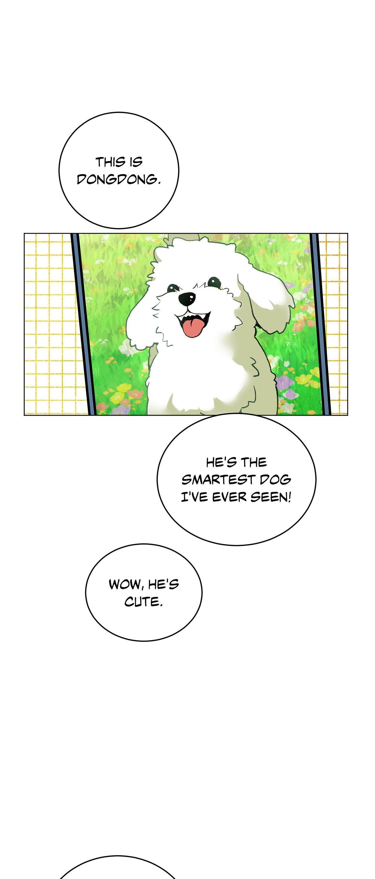 When Life Gives You Tomatoes Chapter 8 page 2 - 