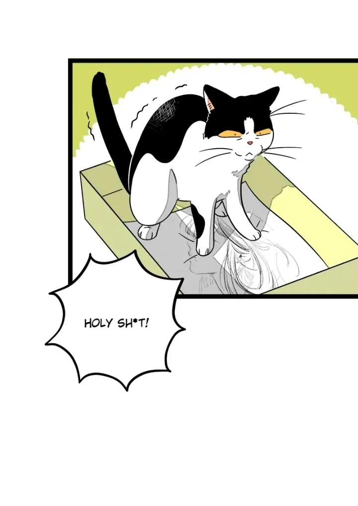 When Monday Met Sunday Chapter 36 page 8 - 