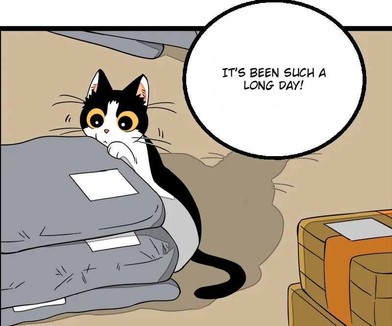 When Monday Met Sunday Chapter 50 page 54 - 