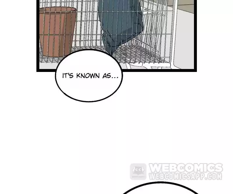 When Monday Met Sunday Chapter 72 page 27 - 