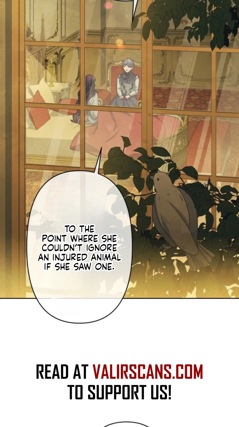 When My Enemies Began to Regret Chapter 33 page 2 - 