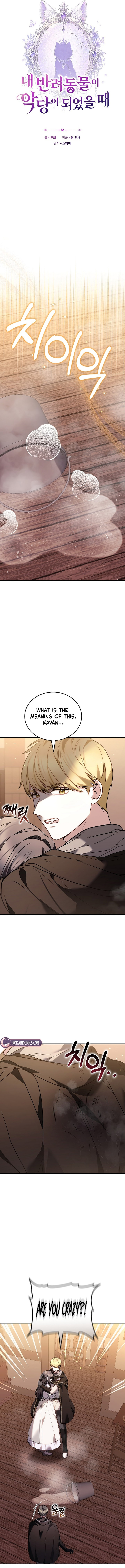 When My Pet Became the Villain Chapter 17 page 2 - 