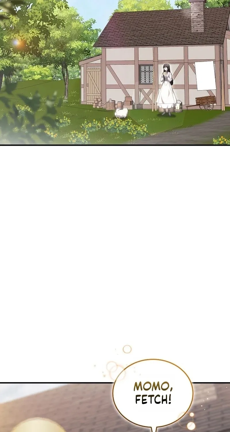 When My Pet Became the Villain Chapter 19 page 47 - 