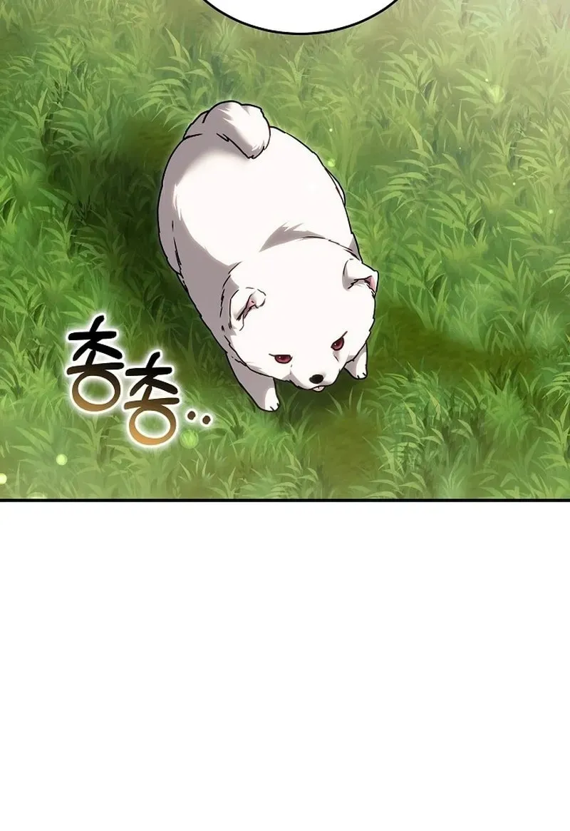 When My Pet Became the Villain Chapter 19 page 62 - 