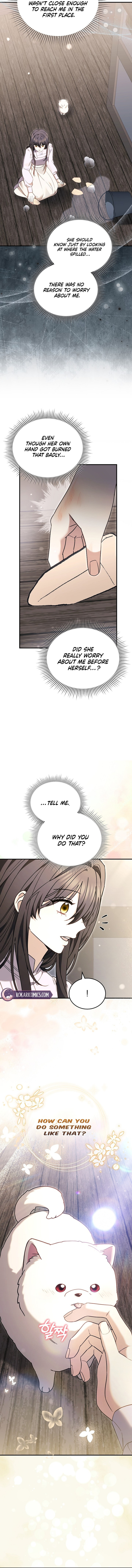 When My Pet Became the Villain Chapter 5 page 17 - 
