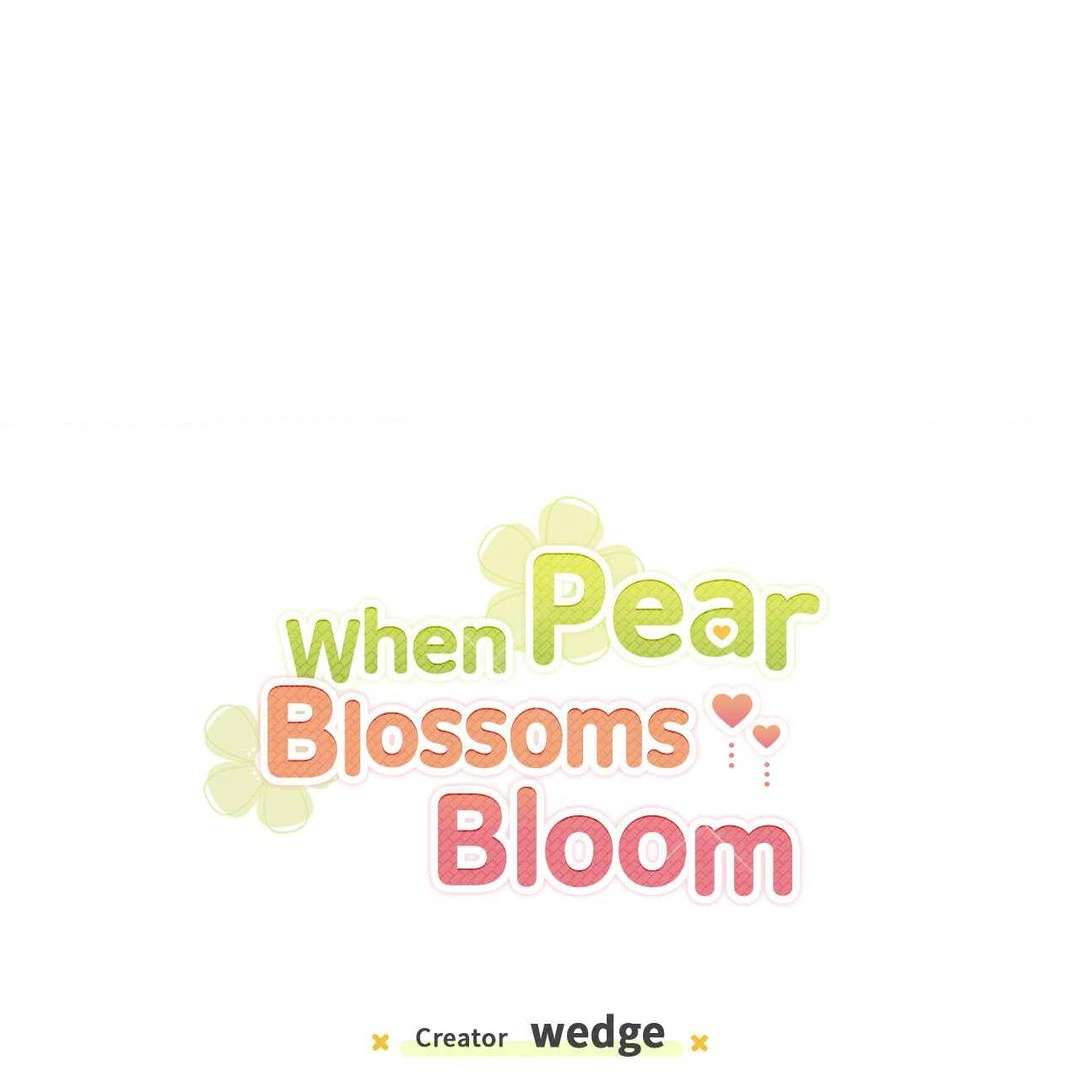 When Pear Blossoms Bloom Chapter 12 page 1 - 
