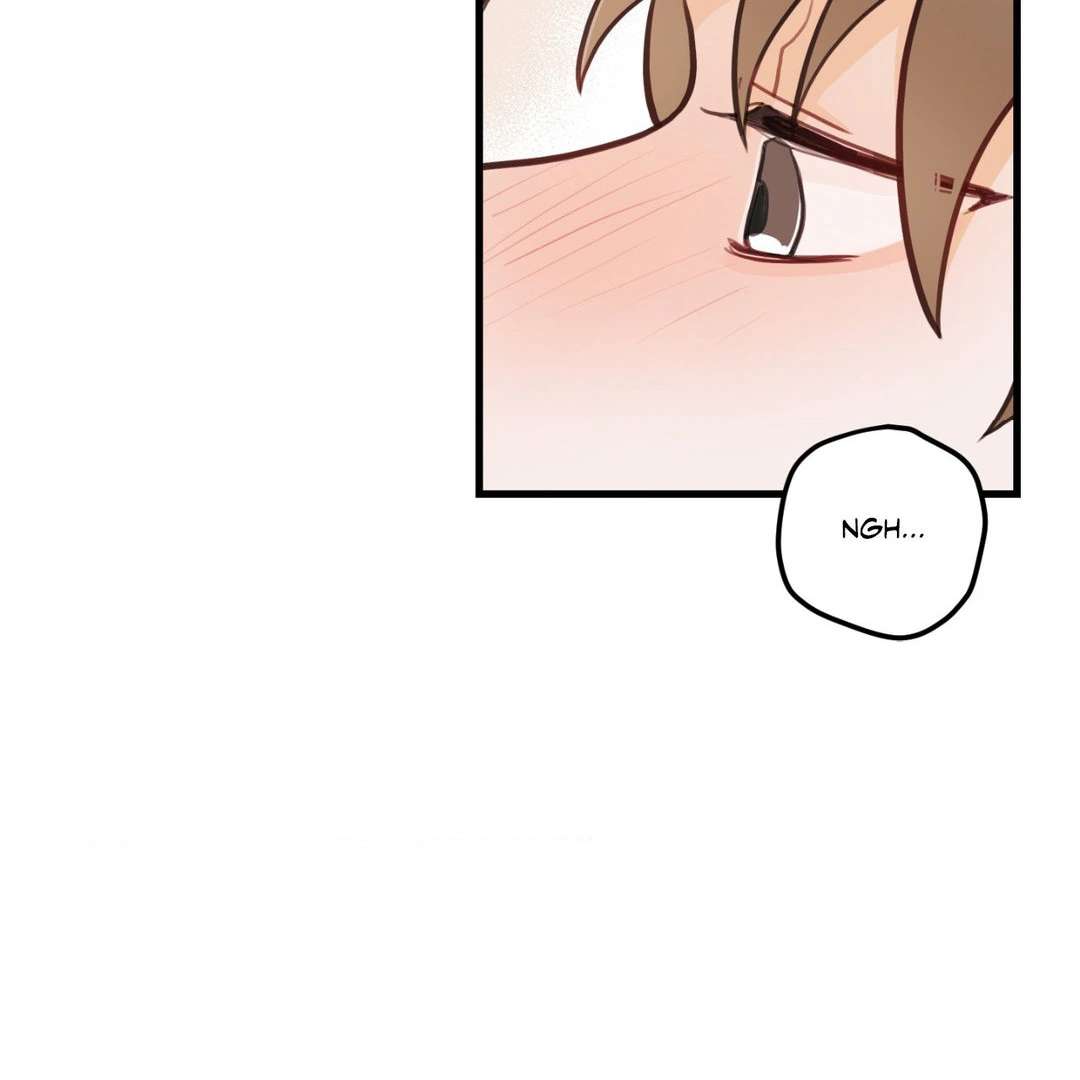 When Pear Blossoms Bloom Chapter 12 page 40 - 