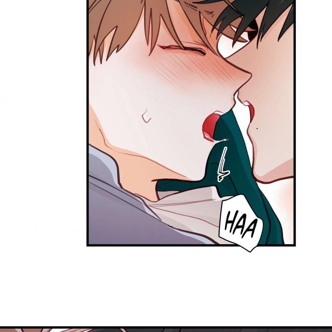 When Pear Blossoms Bloom Chapter 13 page 111 - 