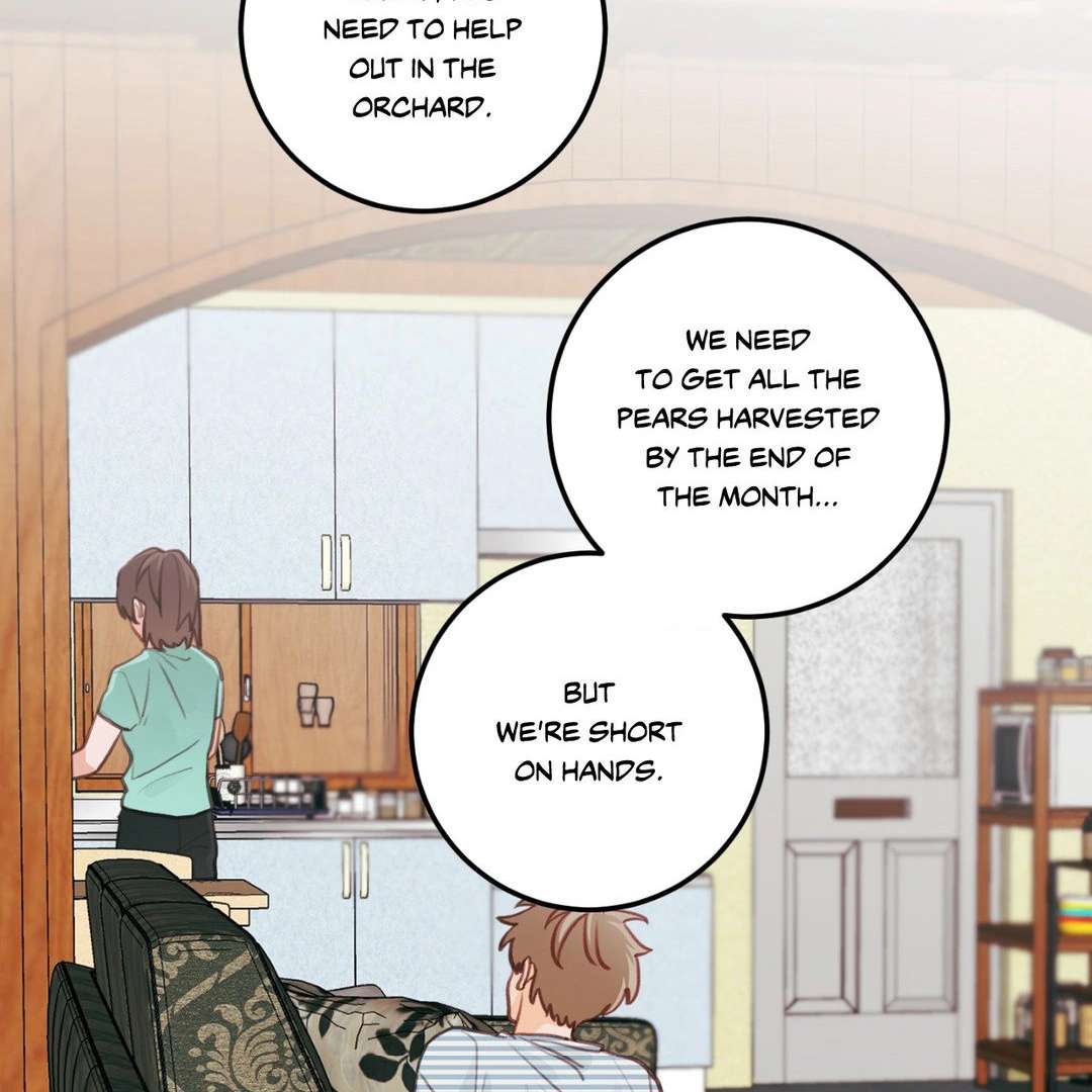 When Pear Blossoms Bloom Chapter 14 page 71 - 