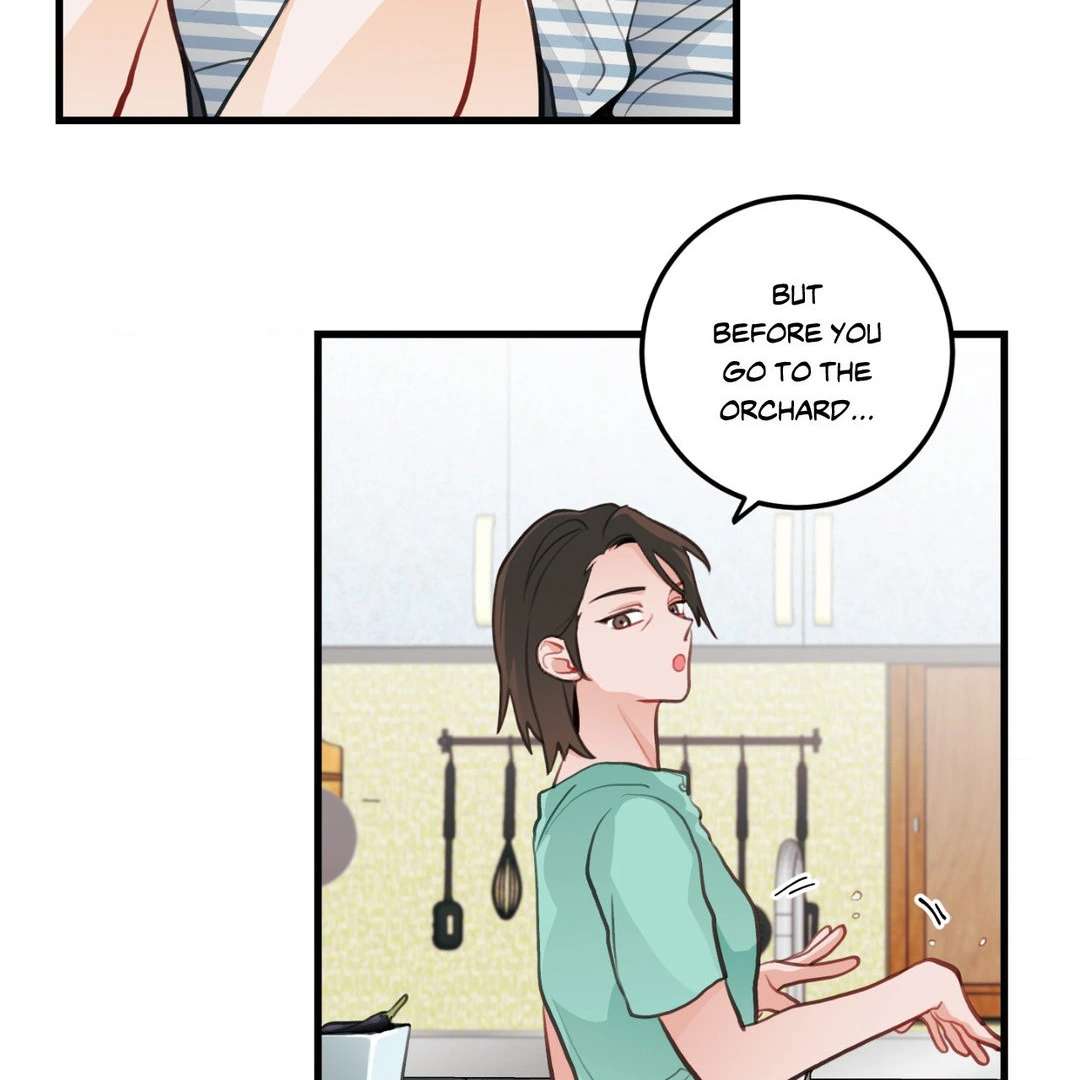 When Pear Blossoms Bloom Chapter 14 page 74 - 