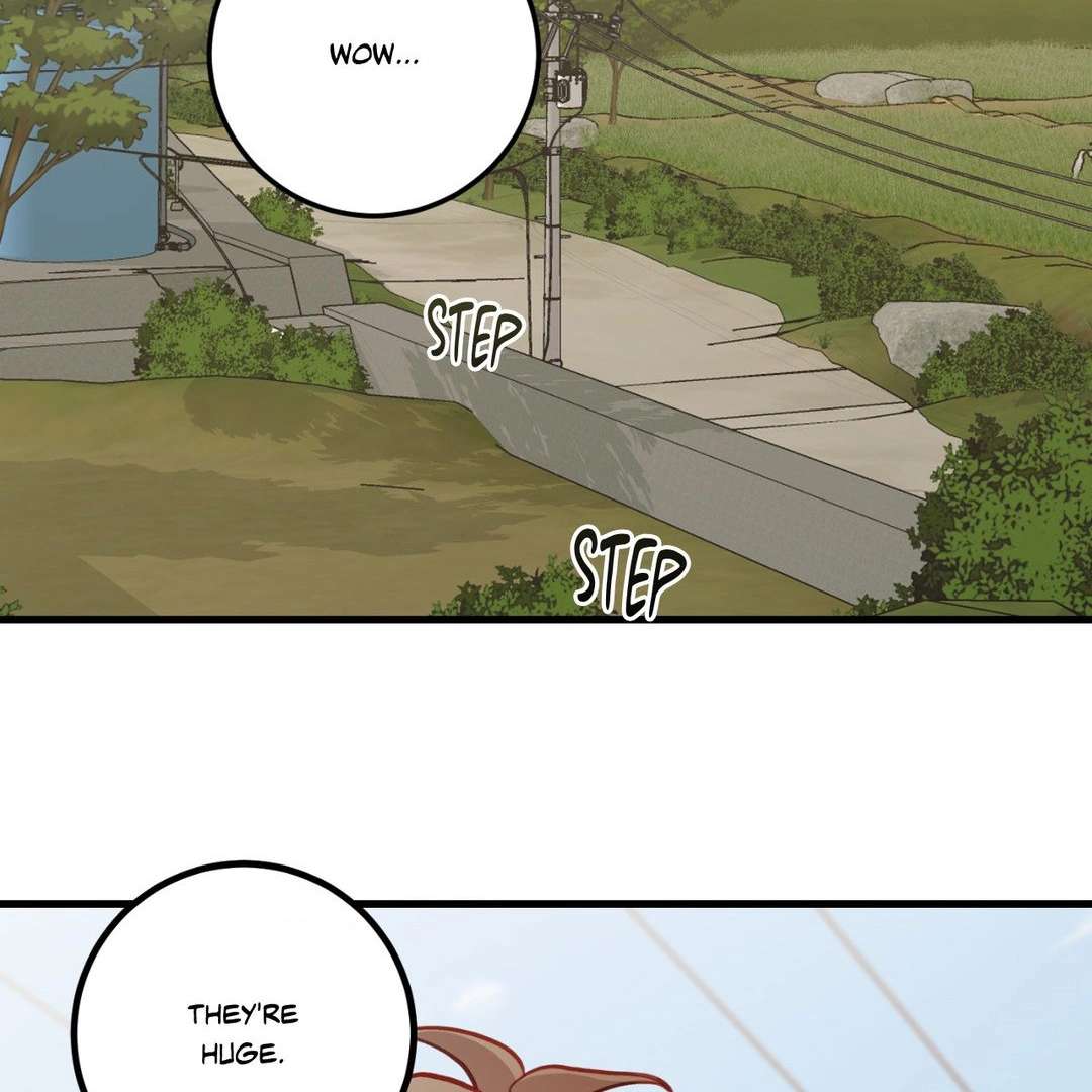 When Pear Blossoms Bloom Chapter 14 page 82 - 
