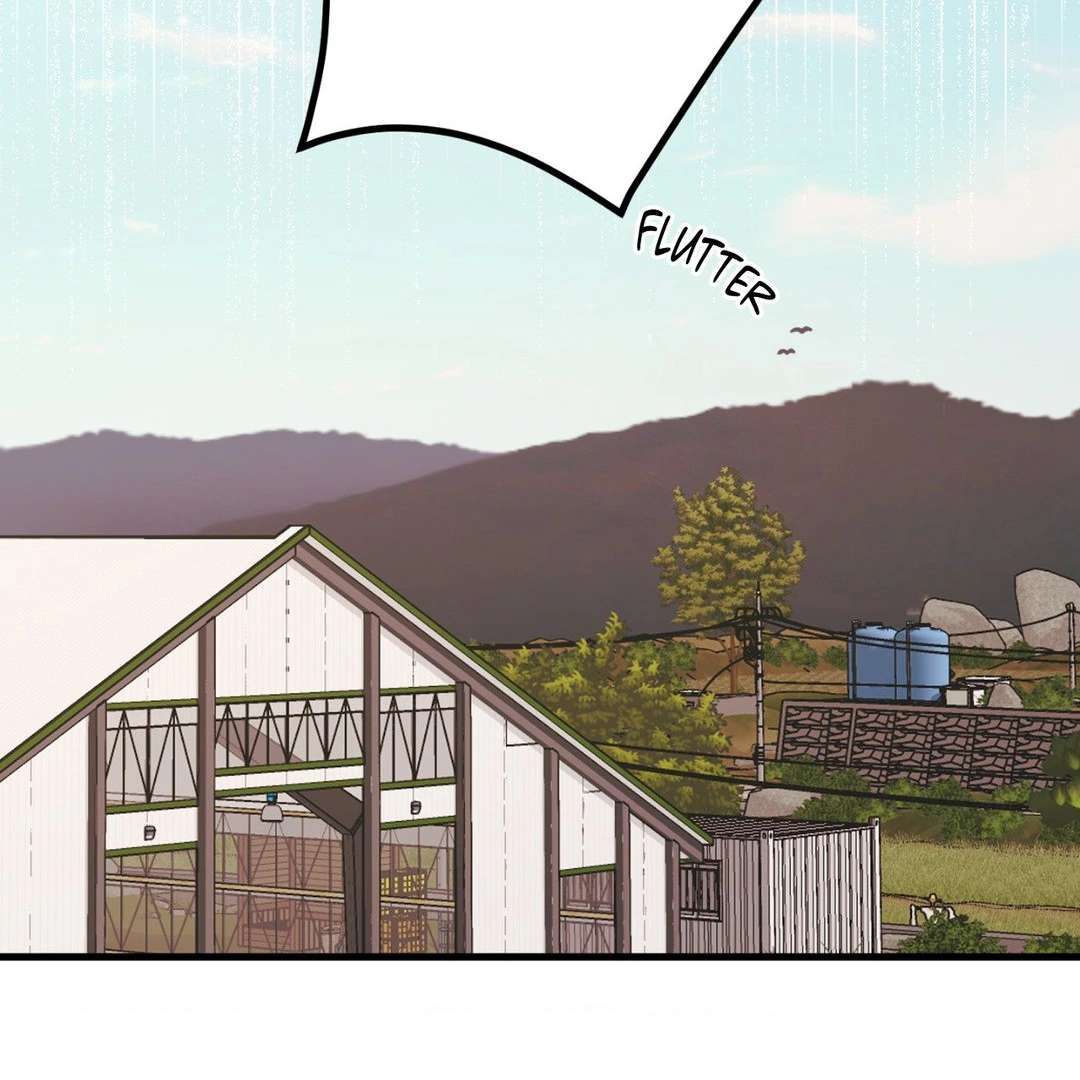 When Pear Blossoms Bloom Chapter 15 page 11 - 