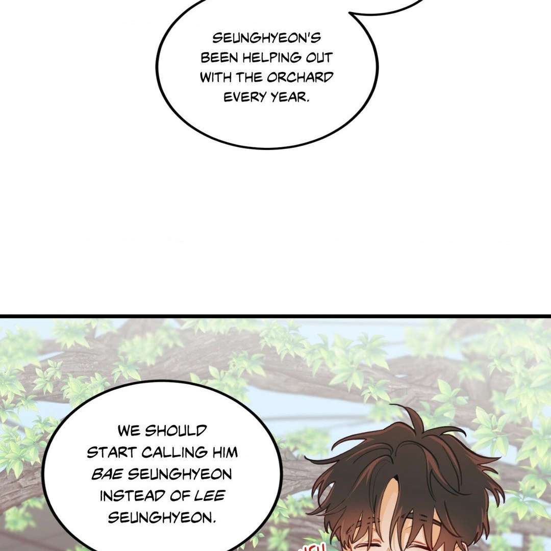 When Pear Blossoms Bloom Chapter 16 page 38 - 