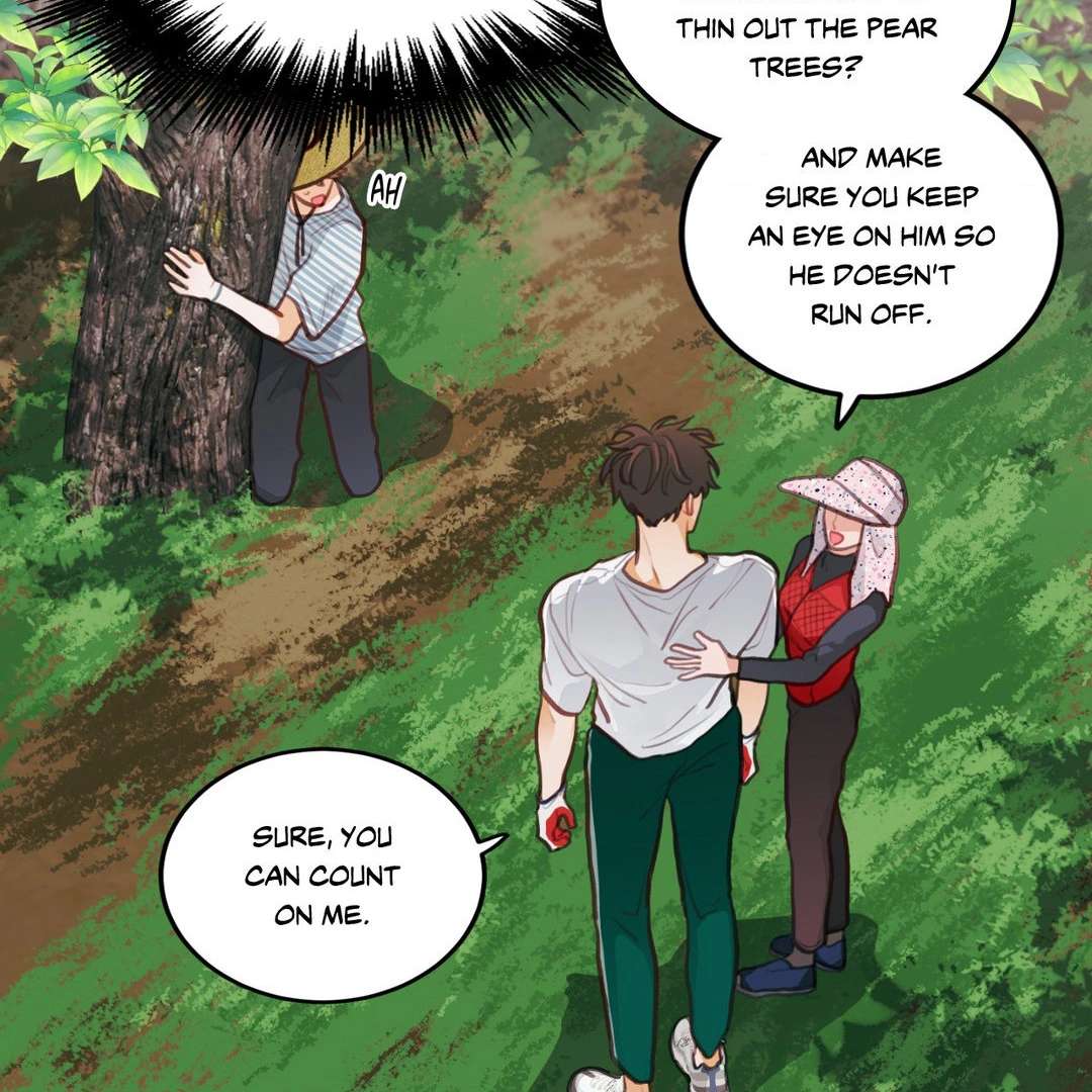 When Pear Blossoms Bloom Chapter 16 page 41 - 