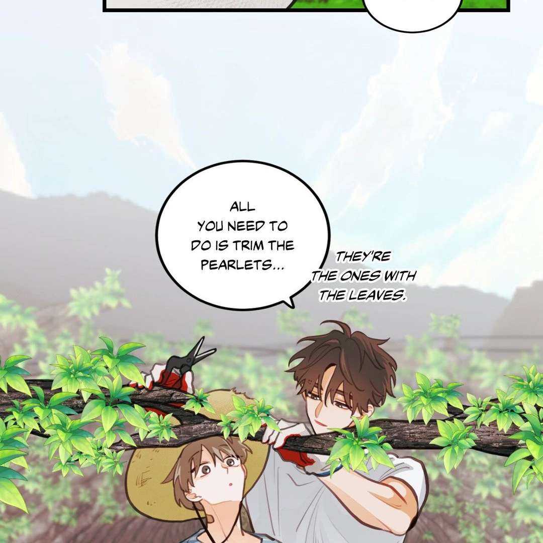 When Pear Blossoms Bloom Chapter 16 page 50 - 